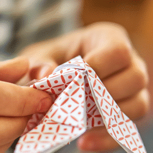 JAP Origami
